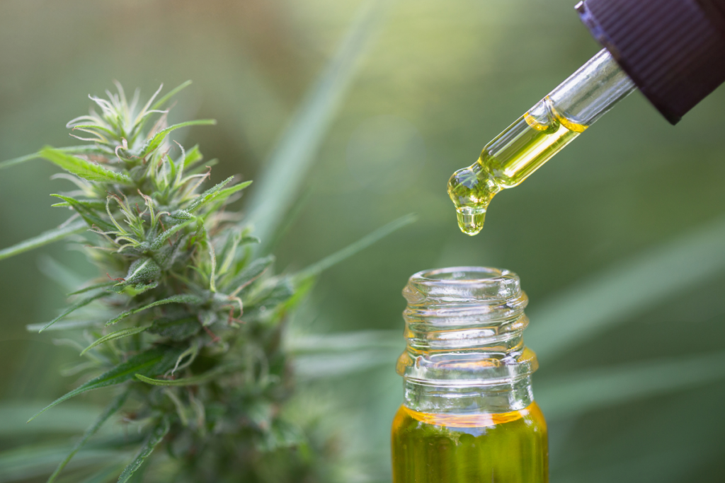 Usos medicinales del CBD y THC en la vida cotidiana