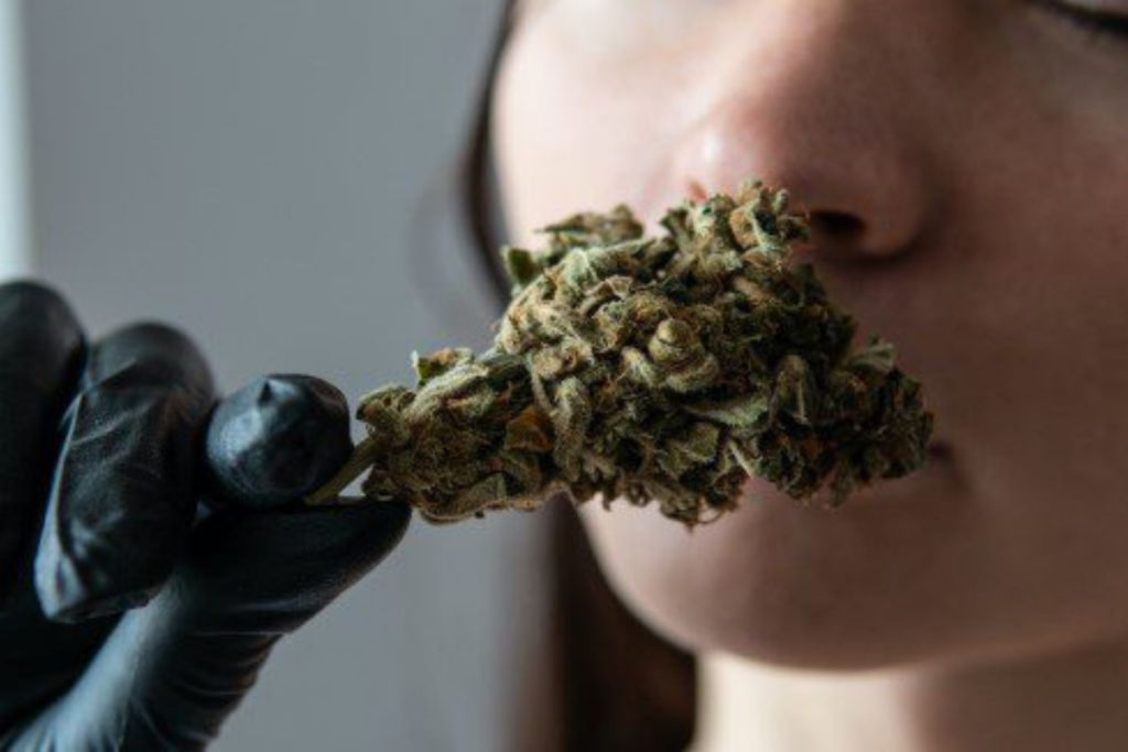Terpenos que desmienten mitos índica sativa