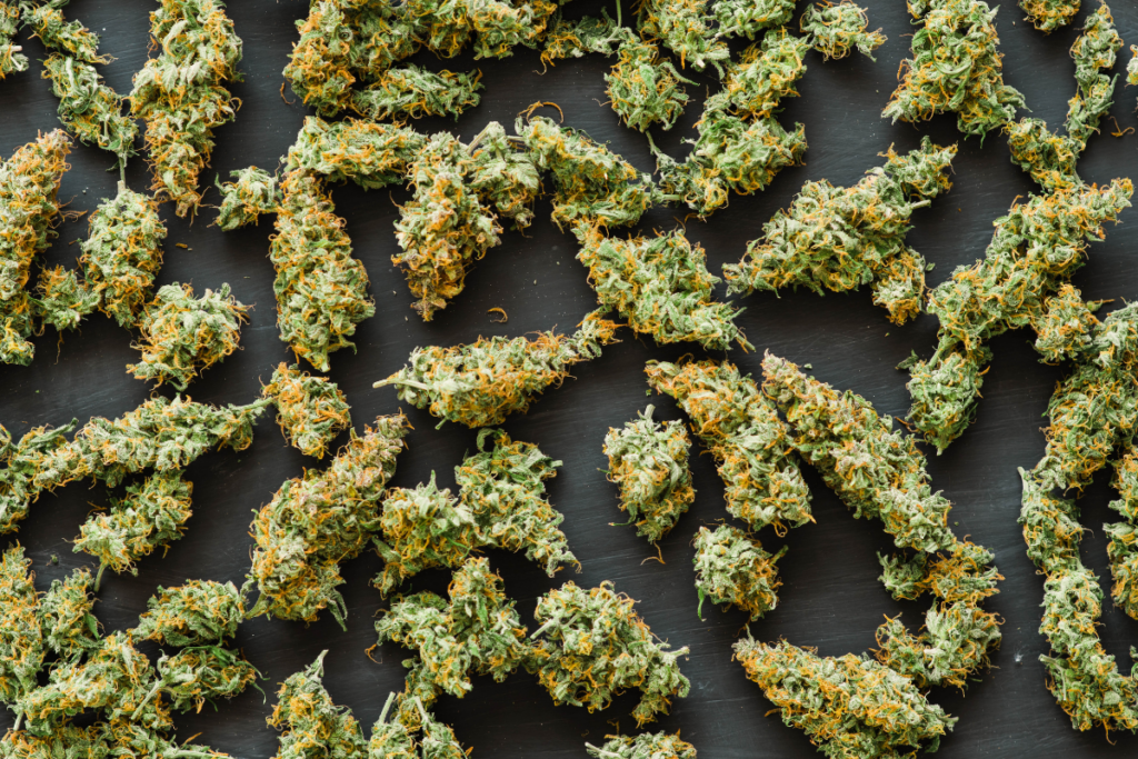 cannabis medicinal para dormir