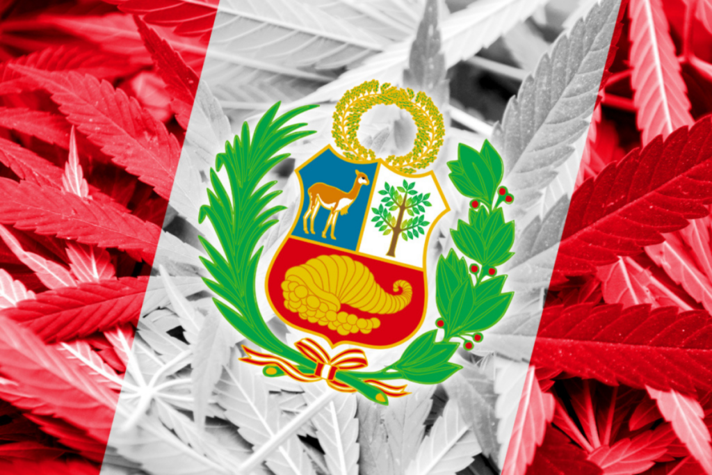 Diferencias de legalidad entre CBD y THC en Perú